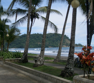 Luxury 1 BR Home Residence on Absolute Beachfront!