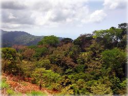 costa rica real estate, for sale, beach, ocean view properties, dominical real estate, residential lots, invest,
