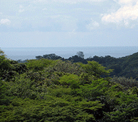 12 Acres of Land with Valley and Ocean Views Near Playa Grande, Costa Rica