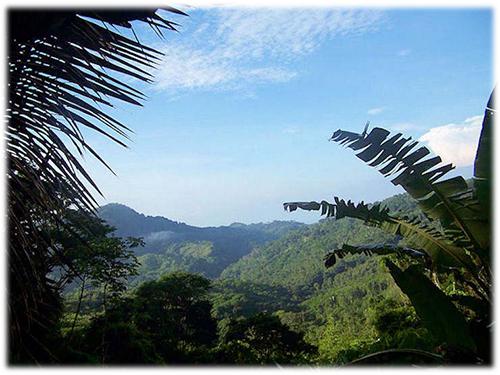 investment properties in costa rica, near to the beach, for sale real estate, properties with mountain views, home and cabins real estate
