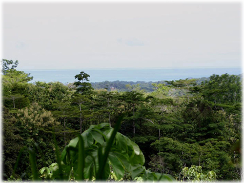 oceanviews, land, lots, for sale, south pacific, development, invest