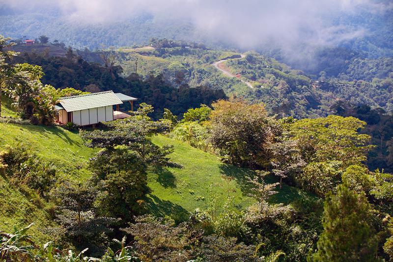 Panoramic view property in Southern Costa Rica, ID CODE: #1980