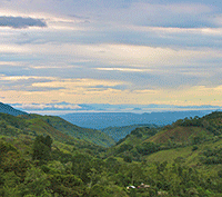 Mountain Dream Property | 15 Acres with 2 Homes