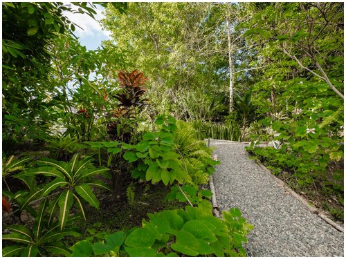 investment opportunity, income producing, caribbean