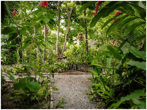 investment opportunity, income producing, caribbean