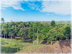 costa rica real estate, for sale, Beach, dominical real estate, properties in dominical, residential lots, 