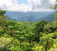Osa View Mountain Marvel land