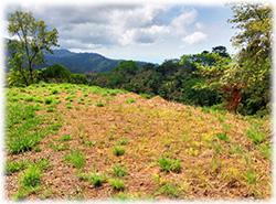 mountain view, lan for sale, sea side lot, properties in uvita, osa real estate, dominical real estate