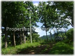Playa Tambor real estate, for sale, hectares for sale, land, lot, investment, water, electricity, telephone, 1567