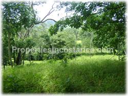 Playa Tambor real estate, for sale, hectares for sale, land, lot, investment, water, electricity, telephone, 1567
