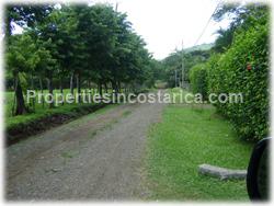 Playa Tambor real estate, for sale, hectares for sale, land, lot, investment, water, electricity, telephone, 1567