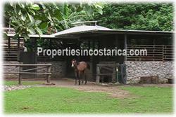 Costa Rica real estate, Santa Ana real estate, mountain estate, houses, river, horse stables, quarters, meditation property, nature, peace, vacation rentals, sanctuary, yoga, plantations, investment potential, west valley, 1859