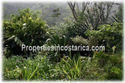 Costa Rica real estate, Santa Ana real estate, mountain estate, houses, river, horse stables, quarters, meditation property, nature, peace, vacation rentals, sanctuary, yoga, plantations, investment potential, west valley, 1859