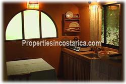 Costa Rica real estate, Santa Ana real estate, mountain estate, houses, river, horse stables, quarters, meditation property, nature, peace, vacation rentals, sanctuary, yoga, plantations, investment potential, west valley, 1859