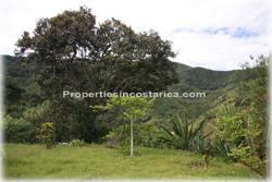Costa Rica real estate, Santa Ana real estate, mountain estate, houses, river, horse stables, quarters, meditation property, nature, peace, vacation rentals, sanctuary, yoga, plantations, investment potential, west valley, 1859