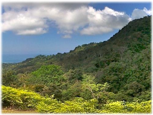 whales tail view, ocean view, south pacific, for sale, beach, close to the beach, south pacific real estate, land for sale, lots for development, invest, investments, opportunity for development