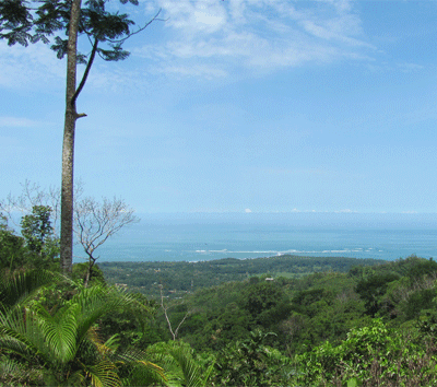 Whale Tail Estates Land with Ocean View & River Frontage