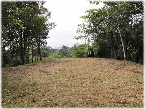 ready to build, lots for sale, for sale, osa, south pacific, development, investment, lands,