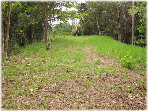 ready to build, lots for sale, for sale, osa, south pacific, development, investment, lands,