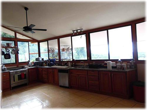 ocean view real estate, near to beach, wildlife experience real estate, for sale