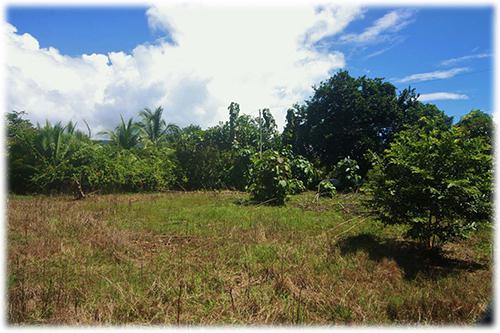 two lands near to beach, real estate land, spectacular ocean view lands to build