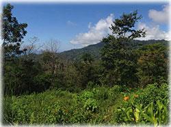 Land for sale in costa rica, costa rica lot for sale