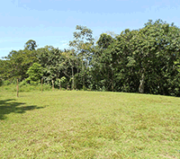 Beautiful lot in Brasil de Mora