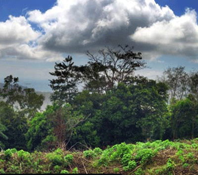 Ocean View Land, A large multi-building Site, Uvita Level Up
