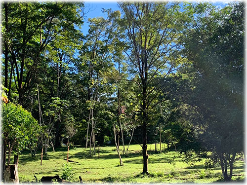 buenos aires, puntarenas, land for sale, landscape, mountain, investment, opportunity, nature