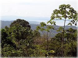 costa rica real estate, for sale, gated communities, residential lots, mountain, dominical real estate, properties in dominical