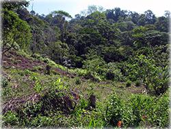 costa rica real estate, for sale, gated communities, residential lots, mountain, dominical real estate, properties in dominical
