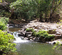 Gorgeous Land Opportunity with Incredible Potential in Atenas