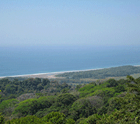 Mountain Property with Ocean Views Lining the South Pacific Coast