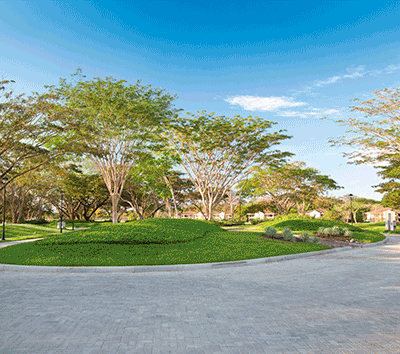 Best Priced Lot in ALL of Reserva Conchal!