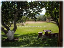 Atenas Costa Rica, Atenas real estate, Atenas realty, Atenas properties, Atenas estate, large, over a hectare, swimming pool, soccer field, ranch, social area, land with house, 1854