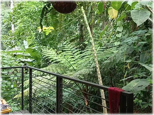 caribe, Caribbean, house, for sale, home for sale, off the grid, nature, sustainable living