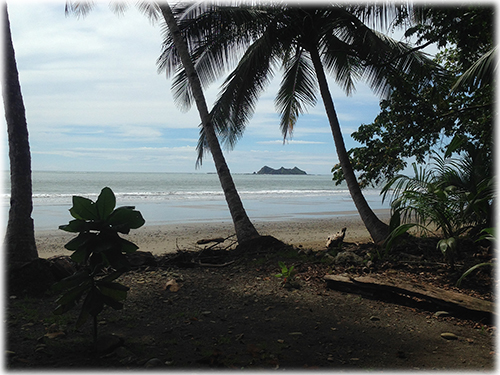 beach properties, beach, ballena, osa, south pacific, amenities, beach access, properties for sale, for sale