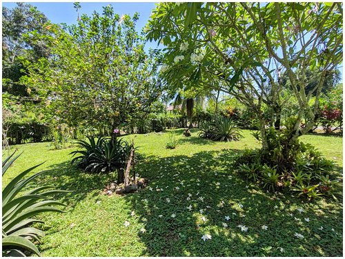 lot for sale, caribe, cahuita, beach walk, beach properties