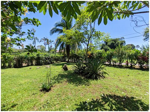 lot for sale, caribe, cahuita, beach walk, beach properties