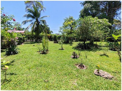 lot for sale, caribe, cahuita, beach walk, beach properties