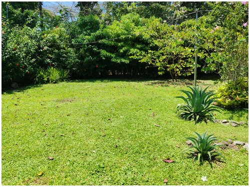 lot for sale, caribe, cahuita, beach walk, beach properties