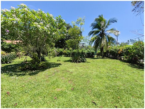 lot for sale, caribe, cahuita, beach walk, beach properties