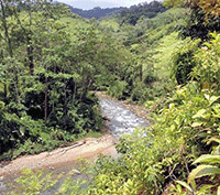 Be in Harmony with Nature, 58 Acre Mountain Riverfront Farm with Cabin
