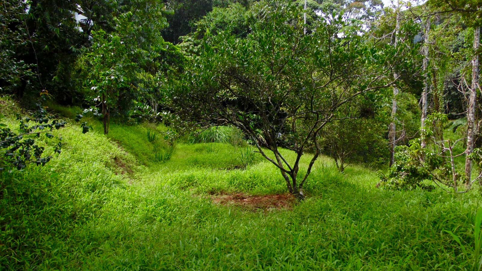 costa rica real estate, Residential, Oceanview, ocean view properties, Beach Town, Seaside Home,