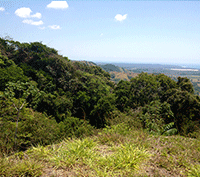 Panoramic Ocean View Lot