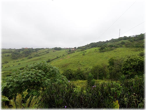 TERRIFIC investment-build dream home or dream Lodge! natural rest spot to Arenal Volcano, close to San Ramon centro