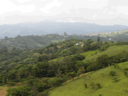 Rare Parcel of Land for Development of an Eco-Community in the Center of Manuel Antonio