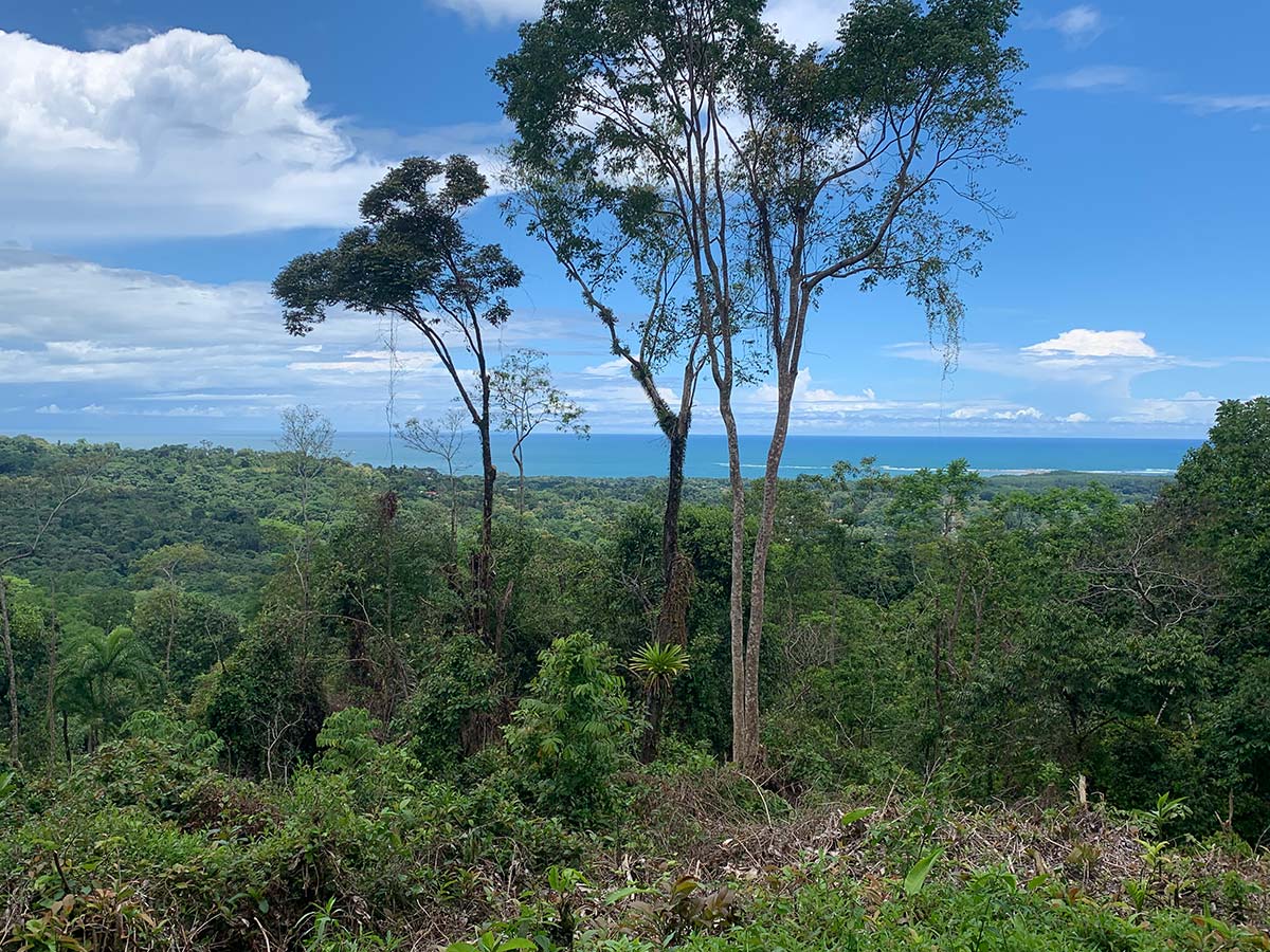 Belleza Serena, 4 Acres of Whale's Tail Ocean View Land in Uvita