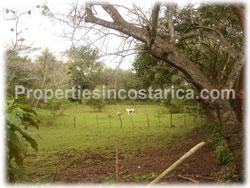 Costa Rica real estate, La Garita Costa Rica, real estate, land for sale, La Garita farm, development, investment