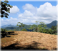 Picture Perfect Lot, Framed by Ocean Views and Rainforest Reserve!